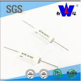 Manufacturer Product Rx27-2 Series 2W Ceramic Resistor