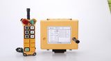 China Factory 220V Long Distance Wireless Remote Controller F21-6D