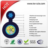 24 Core Sm Armored Outdoor Aerial Self-Support Optic Fiber Cable GYTC8S