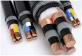 2 Core XLPE Insulation PVC Sheath Low Voltage Armoured Yjv Power Cable