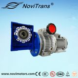 Three Phase Permanent Magnet Synchronous Motor Flexible Motors with Speed Governor and Decelerator (YFM-132/GD)