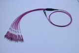 MPO/PC-LC/Upc 12 Fiber Optic Mini Round Om4-550 Magenta Patchcords