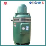 75HP IEC, NEMA Standard Vertical Hollow Shaft Vhs Pump Motor
