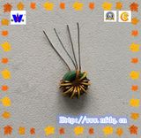Toroidal Choke Coil and Fixed Inductor