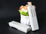 Long Range RF Remote Control Products 315/433MHz