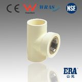 CPVC DIN Fitting Tee Adaptor with Brass Insert CPVC Fittings