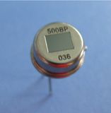 Small Human Detect Sensor PIR 500bp Motion Sensor