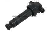 Ignition Coil Hyundai 27301-2b000 273012b000 0986221062 DMB2008 880246 N5360513 Gn10601-12b1