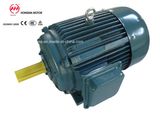 Y2d Series/Y2d Three Phase Multispeed Induction Asynchronous Motor with Y2ID, Y2ad, Y2yd/Doublespeed Motor