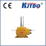 Deviation Switch for Conveyor Protection