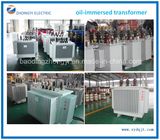 China Toroidal Winding Oil Immersed Distribution Transformer Price