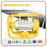 110V 220V Single Phase Electric Vibration Motor