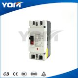MCCB-250L-2p