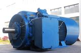 Ce CQC ISO AC Adjust Speed 500kw AC Motor