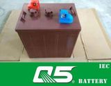 6V175AH (WPST-605) , Deep Cycle Golf Cart Battery