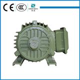 High Quality Y Series Motor