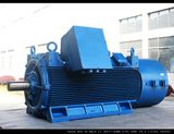 Yvfz 3 Phase Squirrel Cage Induction Motor