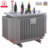 Oil Immersed Power Transformer