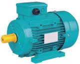Ms Series Three Phases Asynchronous Motor
