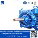 Three Phase Induction Frequency Variable 650kw AC Motor