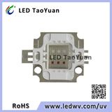 Super Brightness Bridgelux Chip 10W RGB Intergrated LED Diode