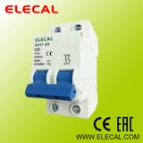 Mini Circuit Breaker (DZ47-63 2P)