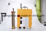 Hight Quality Industrial Wireless Radio Remote Control F21-20d