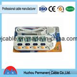 BS Standard Extension in Uganda/Africa From Chinese Factory