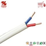 450/750V PVC Insulated Wire Pure Copper/CCA Conductor Electrical Cable