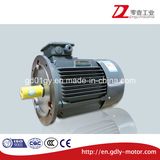 Cast Iron Three Phase Motor with Ce Approved