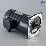 High Speed Ratio Small AC Brake Gear Motor_D