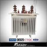 3 Phase Oil Immersed Power Pole Mounted 100kVA Transformer 33/0.433kv