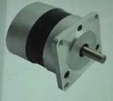 Brushless Motor for Fitness Appliance