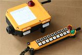 Hoist with Radio Remote Control F21-18s, Wireless Remote Control for Crane
