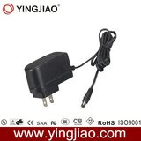 12W 24V DC Switching Adapter with CE