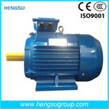 Ye2 30kw Three Phase Cast Iron Electric and Induction Motor