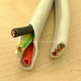 Copper Conductor PVC Insulated Buliding Wire 2.5mm2