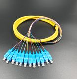 Optical Fiber 12 Cores Bound Pigtail for Fiber Optic Data Transmission/Network
