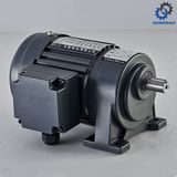 Horizonal Light Duty Type High Ratio Small AC Induction Motor_D
