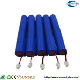 Customerized Lithium and LiFePO4 Battery Packs