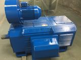 NHL Z Series Low Speed High Torque DC Motor