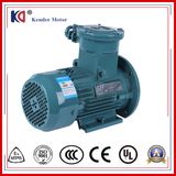 Ex-Proof Electric AC Motor with High Quality High Efficiency
