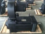 NHL Yjp Ie4 3HP 3-Phase Motor