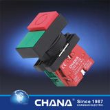 Double Head Type Pushbutton Switch