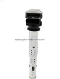 Ignition Coil Skoda 06f905115 06f905115A 06f905115b 06f905115c 06f905115f 07k905115b 07k905715 07k905715A 07k905715c 07k905715