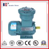 Yb3 Ex-Proof AC Induction Motor with Atex&Ice