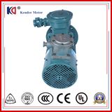 Yvbp Variable Frequency Drive Induction AC Motor