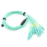 MPO-LC Om3 12 Cores Fiber Optic Patchcord