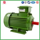 High Efficiency Three Phase Asynchronous AC Motor