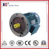 Yx3-100L-2 Series High Efficiency Three Phase AC Motor